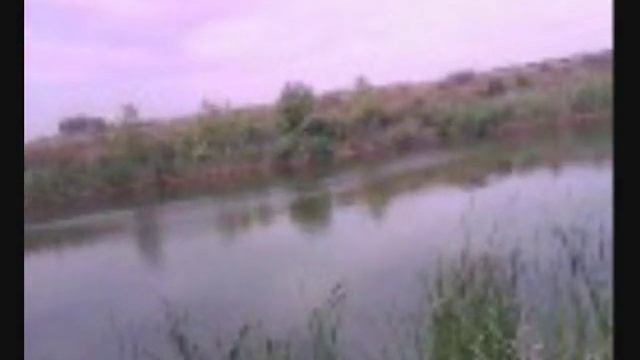 1Воспоминания запись 1