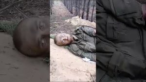 Только живи! Храни тебя Бог! Русские не сдаются!