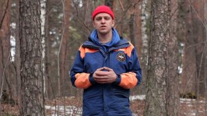 Какие опасности подстерегают в лесу