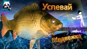 RF4 ЕЛЕ КАК УСПЕЛ ИХ ВЫТЯГИВАТЬ ПРОСТО КЛЕВ ЗА КЛЕВОМ #рр4