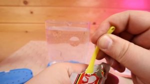 Морские Обезьянки Живые Существа из икринок Sea Monkeys - Артемии