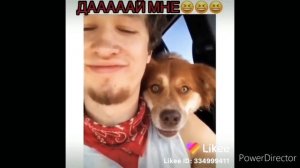 Приколы,анекдоты из Likke 2020 года. Смотреть всем!!!