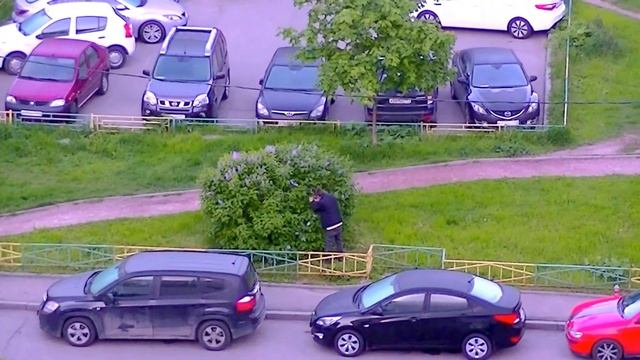 Розовый рассвет смотреть онлайн