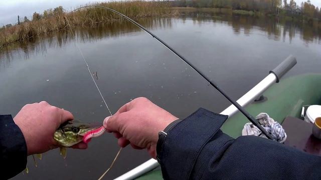 Нерль раздаёт много мелкой щуки Тверская обл смотреть онлайн