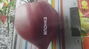 Обзор лучших индетерминантных томатов.