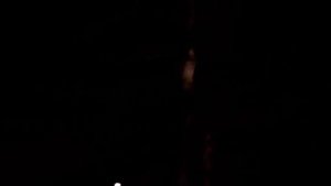 Анатолий Кулагин - Инопланетяночка