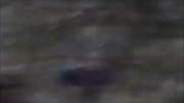 Странное существо с большими ушами напугало туриста в лесу смотреть онлайн