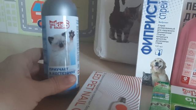 Уход за месячными котятами шотландской породы #уходзакотятами #шотландскиекотята #шампунидлякотят