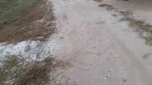 Hyundai ix 35.Работа Esp.Диагональ.Off road