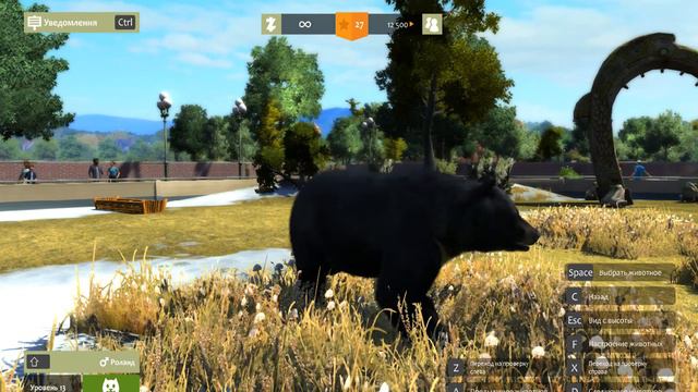 Зоопарк. Медведи в зоопарке. смотреть онлайн