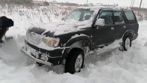 грейт вол по глубокому снегу