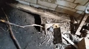 Домашнее содержание нутрий. В норах