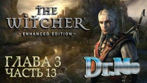 The Witcher. Ведьмак. Прохождение. Глава 3. Часть 13. Разыскивается. Схватка с Профессором.