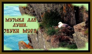 МУЗЫКА ДЛЯ ДУШИ.ЗВУКИ МОРЯ.Природа и поэзия.Music for the soul.Sounds of the sea.Nature and poetry.