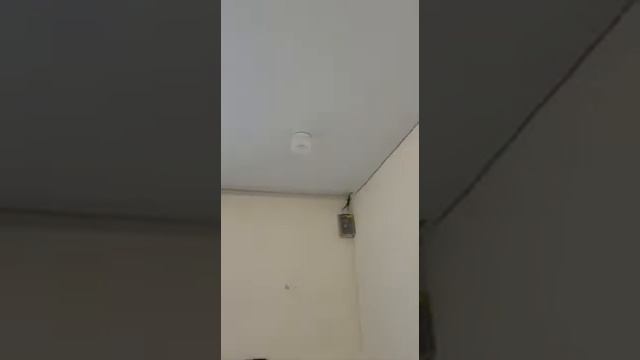 Дизайн натяжного потолка со световыми линиями и люстрой в стиле хай-тек смотреть онлайн