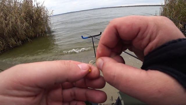 Рыбалка на водохранилище. Донки, флэт, пенопласт. Что бывает когда лень искать места. смотреть онлайн