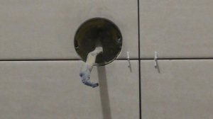 Как сделать отверстие в плитке с помощью TLS_Profi