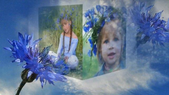 Васильки,ах Васильки ! смотреть онлайн