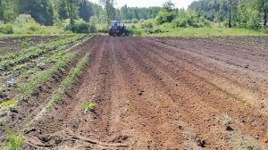 Ёжики на культиватор