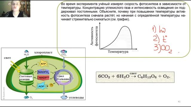 ЕГЭ_Биология. Часть 2. Фотосинтез смотреть онлайн