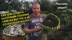 Как приготовить настоящие соленые семечки внутри, а не соленую скорлупу?