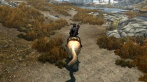 THE SADDEST HORSE IN ALL OF SKYRIM