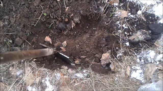 выпал снег как посадить тюльпаны смотреть онлайн