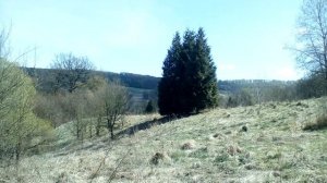 Христианские стихи с очень глубоким смыслом.