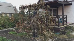 Осенняя обрезка винограда