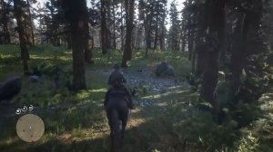 Red Dead Redemption 2 - ЗАГАДОЧНАЯ ЯМА С ТРУПАМИ