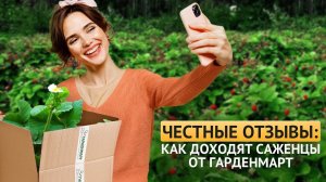 Честные отзывы: как доходят саженцы от Гарденмарт