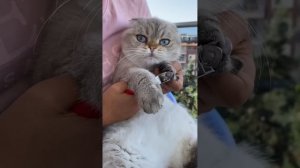 Распаковка , что купили Лелику ??