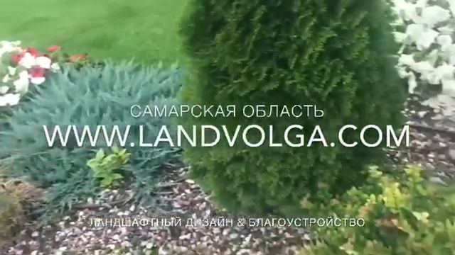 Розы.ландшафтный дизайн. Оформление сада