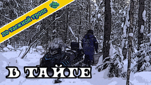 Жизнь в тайге. Один в лесу. Мороз -30 С.