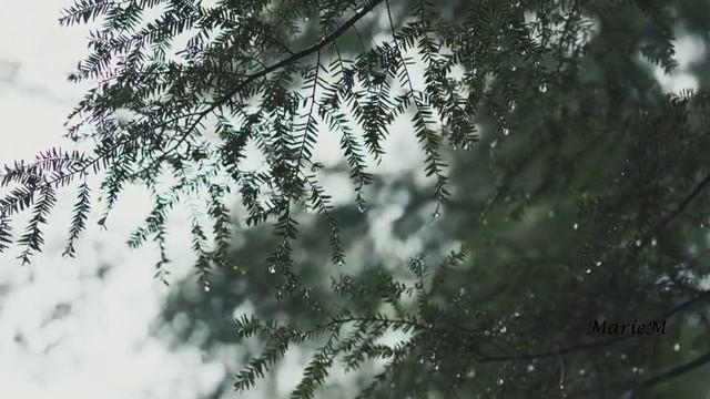 Diana Panton - How Deep Is Your Love смотреть онлайн