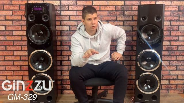 Обзор на напольную акустическую систему 2.0 от GINZZU. Model: GM-329. смотреть онлайн