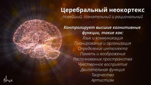 Как Шамбхави Махамудра Крийя влияет на настроение, баланс и энергичность | Научные исследования