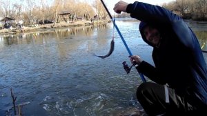 Да что это такое, карась, тарань, козлики клюют и не дают поесть?. Рыбалка на поплавочную удочку.