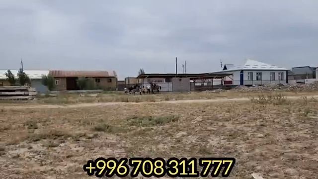 ай Шамал шамал ?ТЕЗ ШАМАЛ АРЗАН АТТАР ДАСТАНДА смотреть онлайн