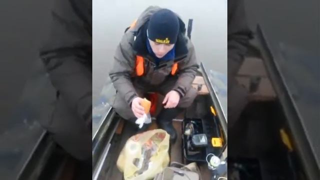 Селитряное 2016