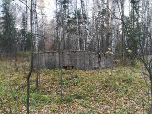 Дот в Кузьминском парке
