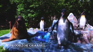 где в Москве увидеть динозавров в полный рост!? ?ДИНОПАРК в Москве