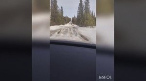 ХМАО-159 САРАНПАУЛЬ 2023Г