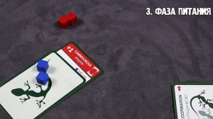 Настольная игра Эволюция Подарочный набор #Обзорправил