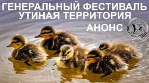Генеральный фестиваль ! Утиная территория!