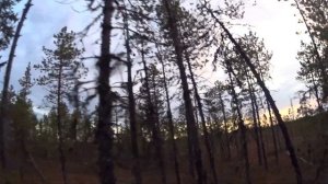 В ЛЕС / ВЕРХ ПО РЕКЕ НА 4 ДНЯ/ ОХОТА с ЛАЙКАМИ /СОБАКА  РАБОТАЕТ  ПО КУНИЦЕ И НОРКЕ     1 серия.