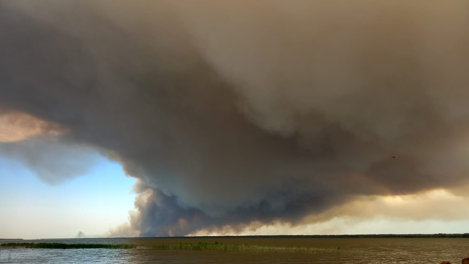 Последствия июньского лесного пожара. Егорьевский район 2023