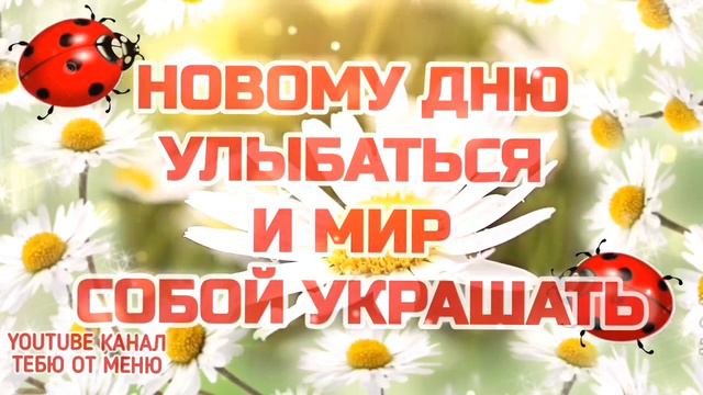 Летнее пожелание доброго утра 🌼#открыткисдобрымутром #сдобрымутромоткрытки #доброеутречко