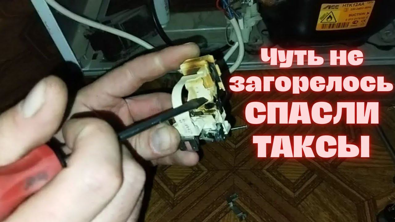 Чуть не загорелся холодильник, тревогу подняли две таксы. смотреть онлайн