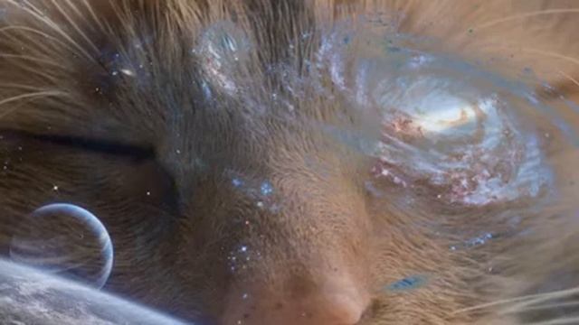 Засыпайте с Котом!?? Расслабляющая Музыка и Мурлыканье Котов?Медитация Любви, Заботы и Ласки? смотреть онлайн